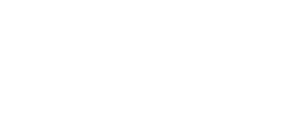 SHAMIR-F1 TEAM LOGO